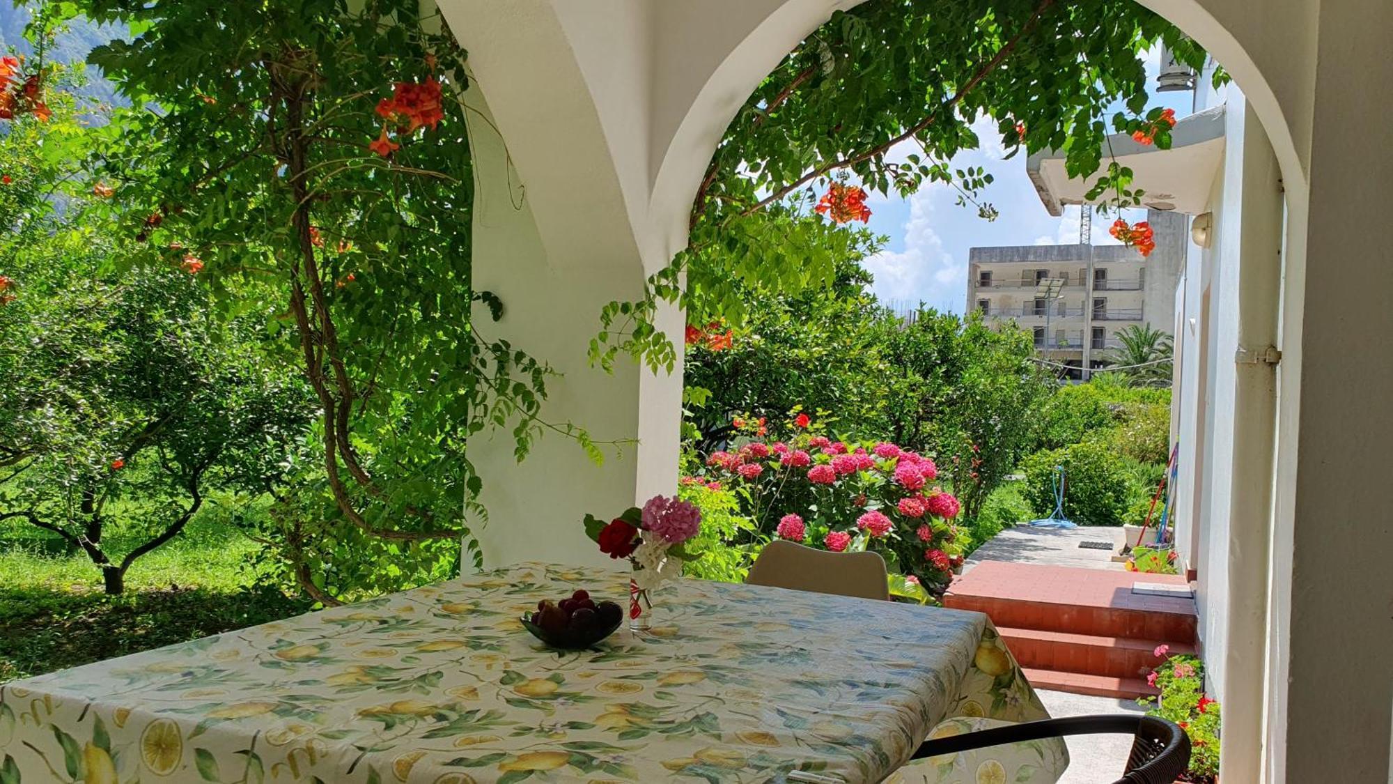 Apartments Ognjenovic Risan Exterior foto